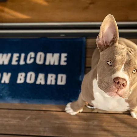 The Homeboat Company Ponta Delgada-acores *