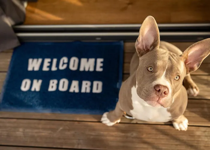 The Homeboat Company Ponta Delgada-acores *